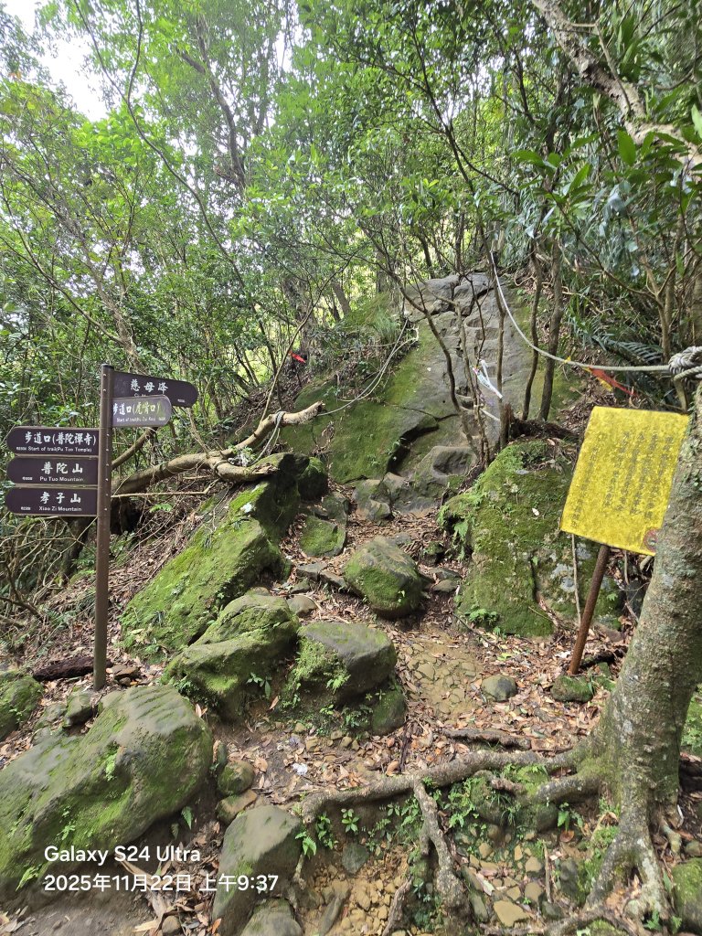 2025-11-22微笑山線：【五分山系】平溪小黃山段_2943291