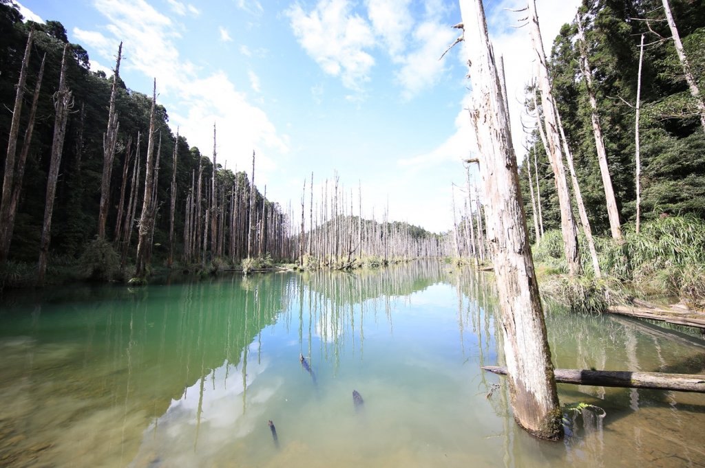水樣森林 第一次在山裡過夜_659231