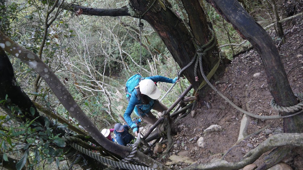 三員縱走登山健行趣(郊山)_1611513