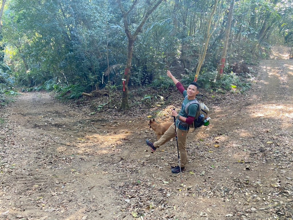 金童山.汶水山.玉女山【冬天的郊山縱走=高山等級的享受】_2680922
