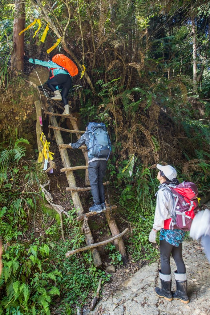 水樣森林 第一次在山裡過夜_659912