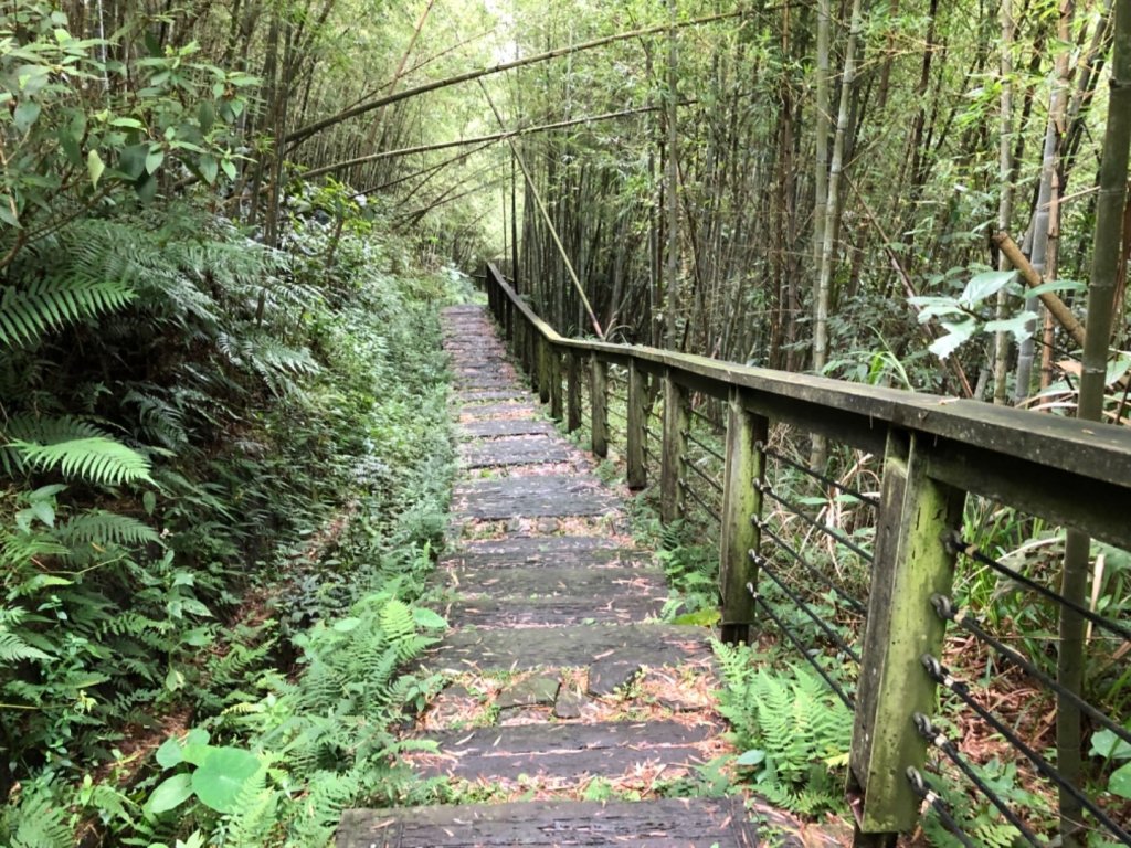 嘉義連峰獨立山大巃頂紅楠坑觀音石阿拔泉_633228