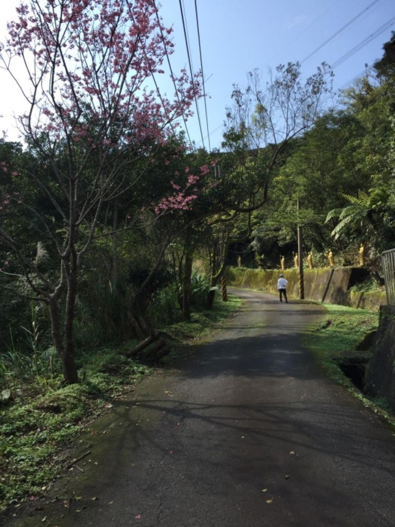 籟貍尖山（拉里山）穿山甲古名，封面圖