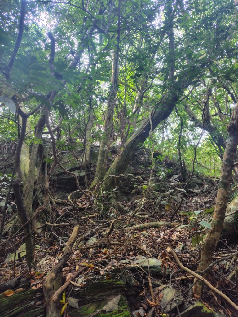 多納六秀 足母山 鬼斧神工一線天 德德山_2953060