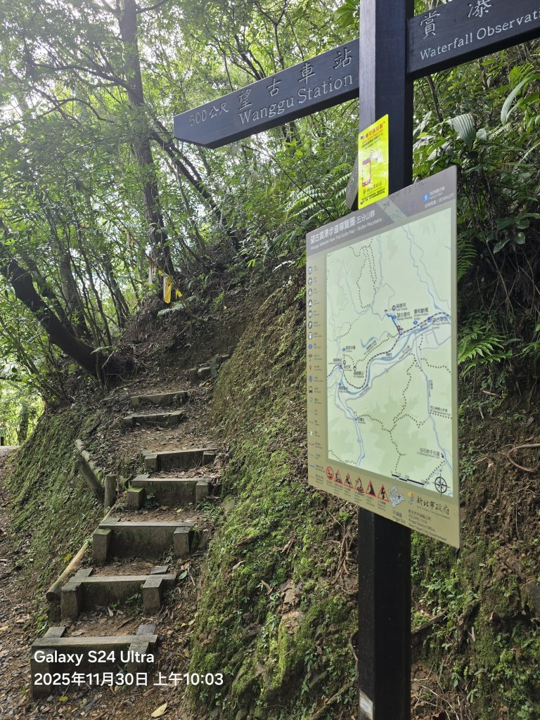 2025-11-30微笑山線：【五分山系】望古瀑布段_2950262