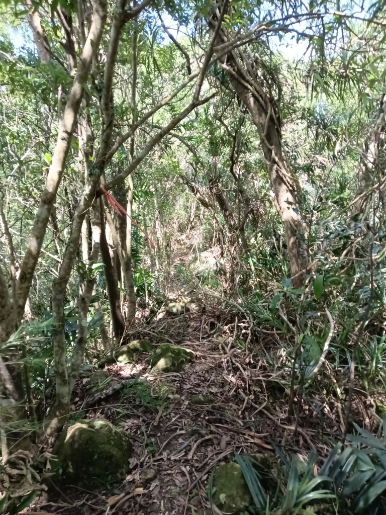 平溪區南山坪蝙蝠洞(濕洞)+平湖山+平湖尖+蝙蝠洞(乾洞)O型_2833921