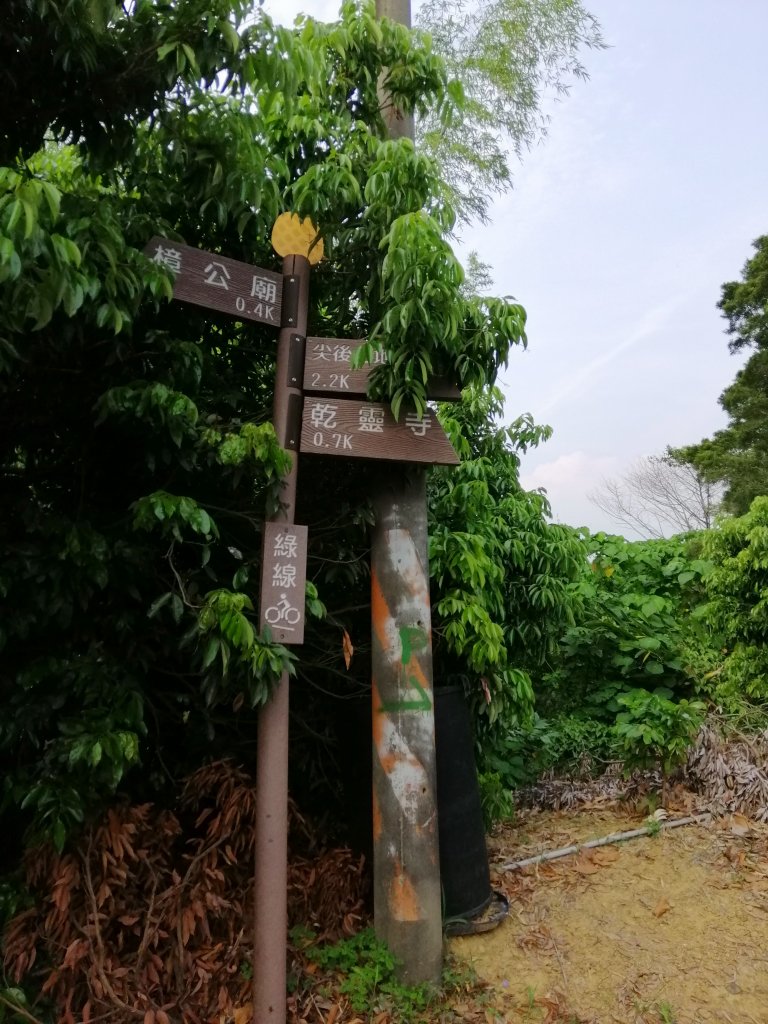 散步賞景。編號46小百岳~阿罩霧山_752798