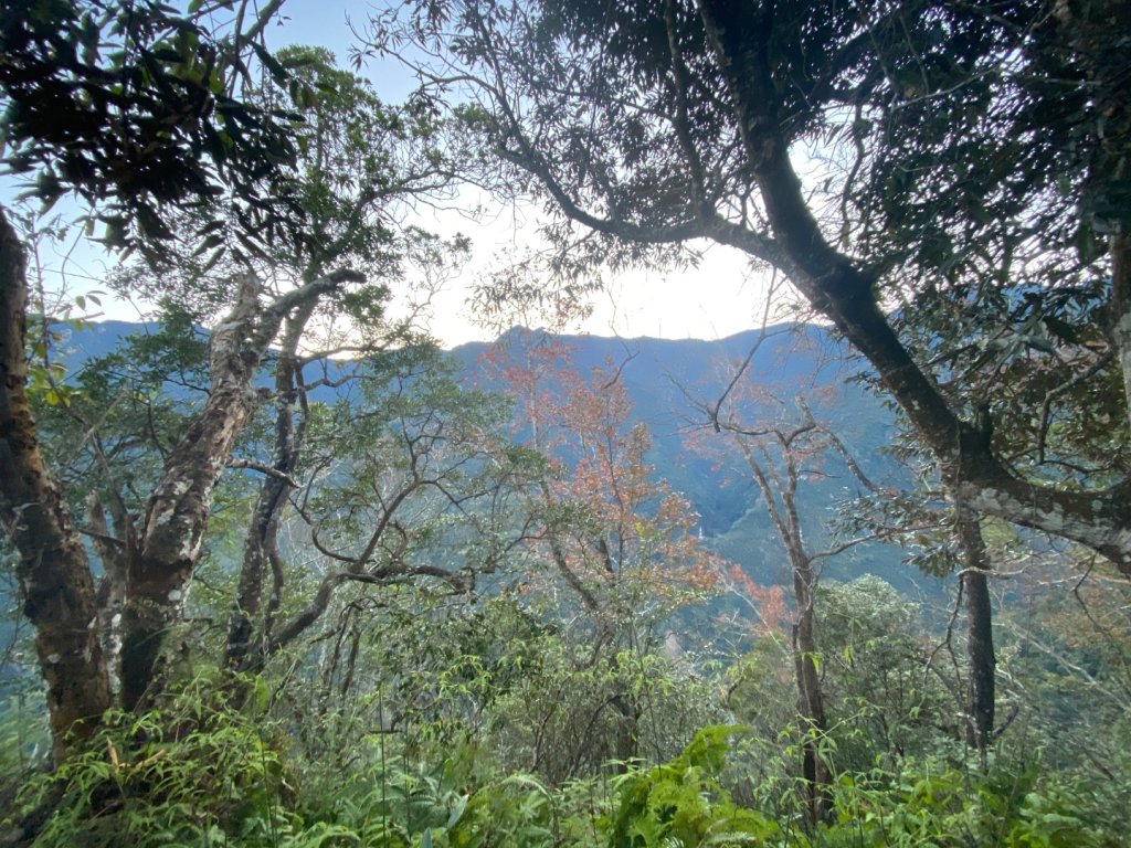 向天湖山_2604200