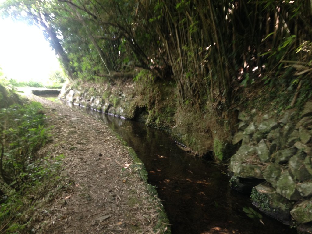 坪頂古圳親山步道_587015