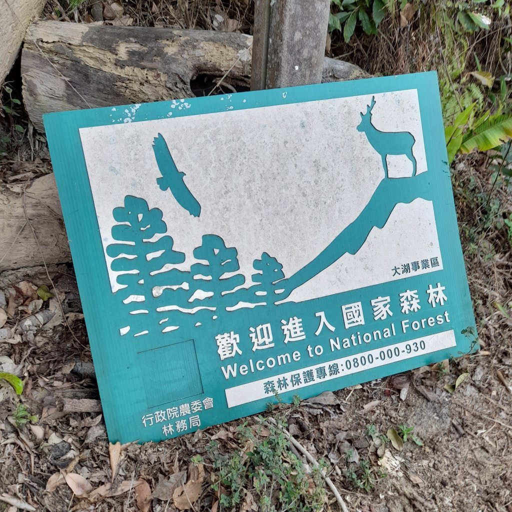 小百岳No.37⛰馬那邦山_2440790