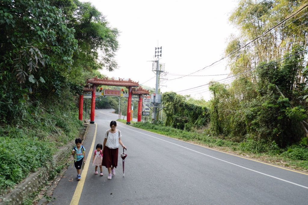 爆熱的桐花盛開荷苞山_565978