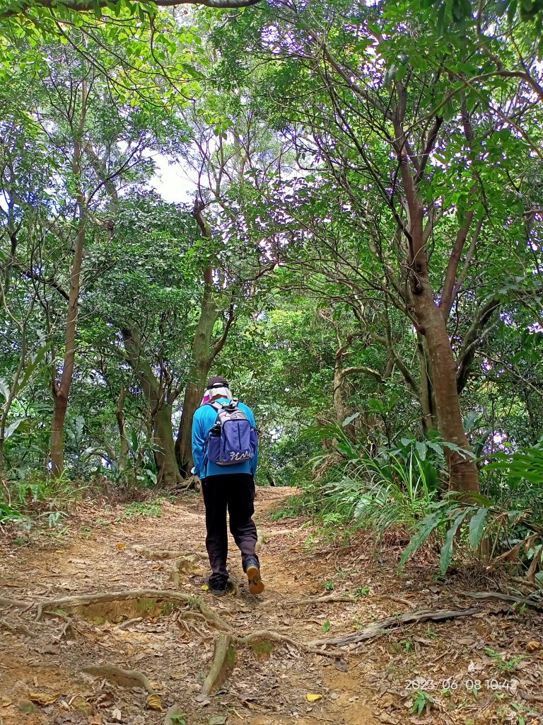 【臺北大縱走 6】象山公園→糶米古道→土地公嶺步道→軍功山→中埔山東峰→中埔山→福州山公園→富陽公園_2177417