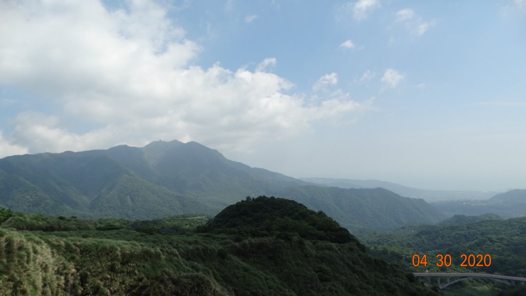 陽明山賞蝶趣_940606