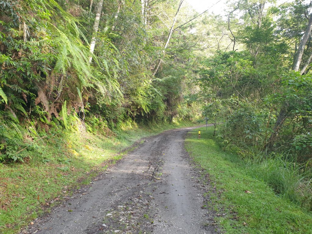 20220619結城山_1754852