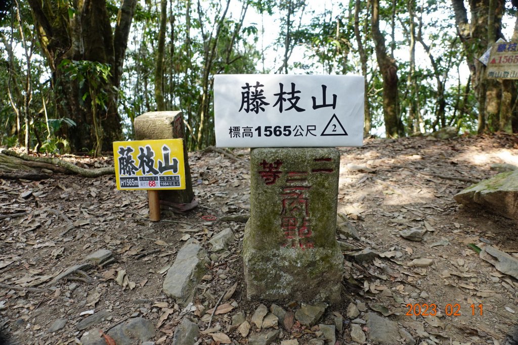 高雄 桃源 藤枝山封面圖