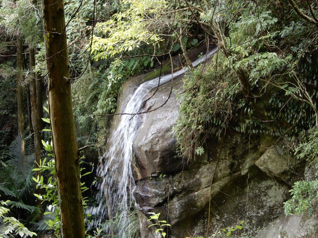 20170930_馬武督森林+外鳥嘴山_176760