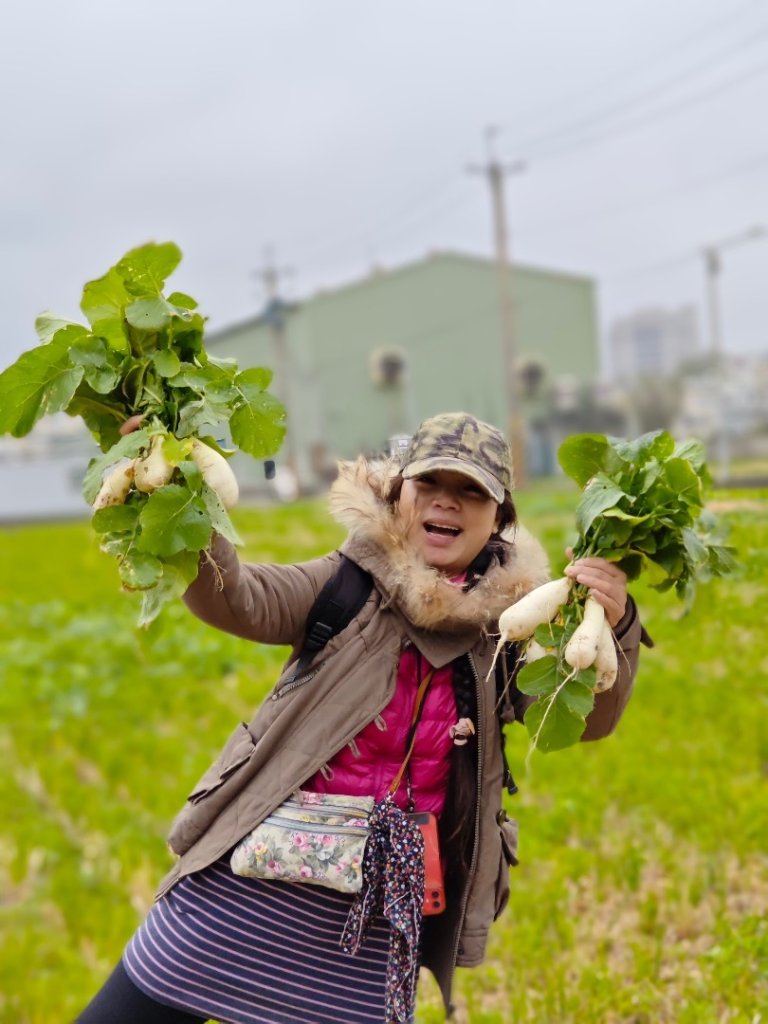 頭份kemp老家農家樂❤️控窯雞烤蕃薯挖蘿蔔現採青菜🥬_2680531
