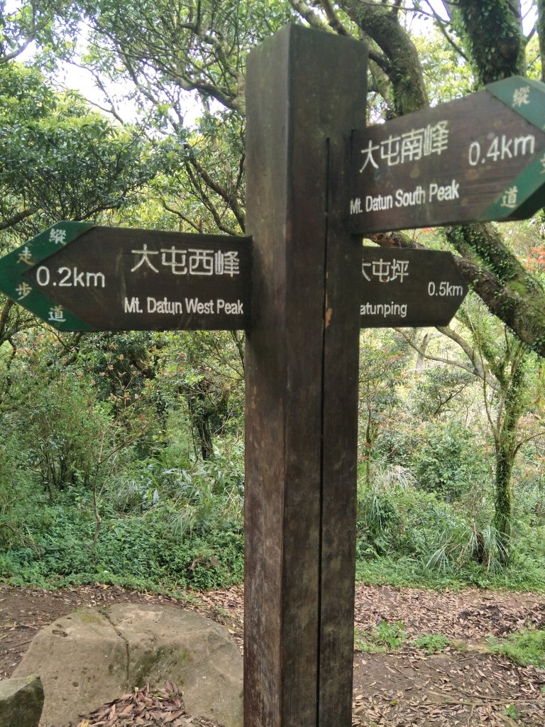 大屯群峰步道(大屯主、南、西峰連走)_1677012