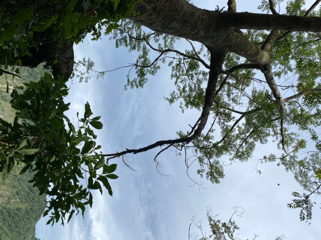 1111022獨立山封面圖