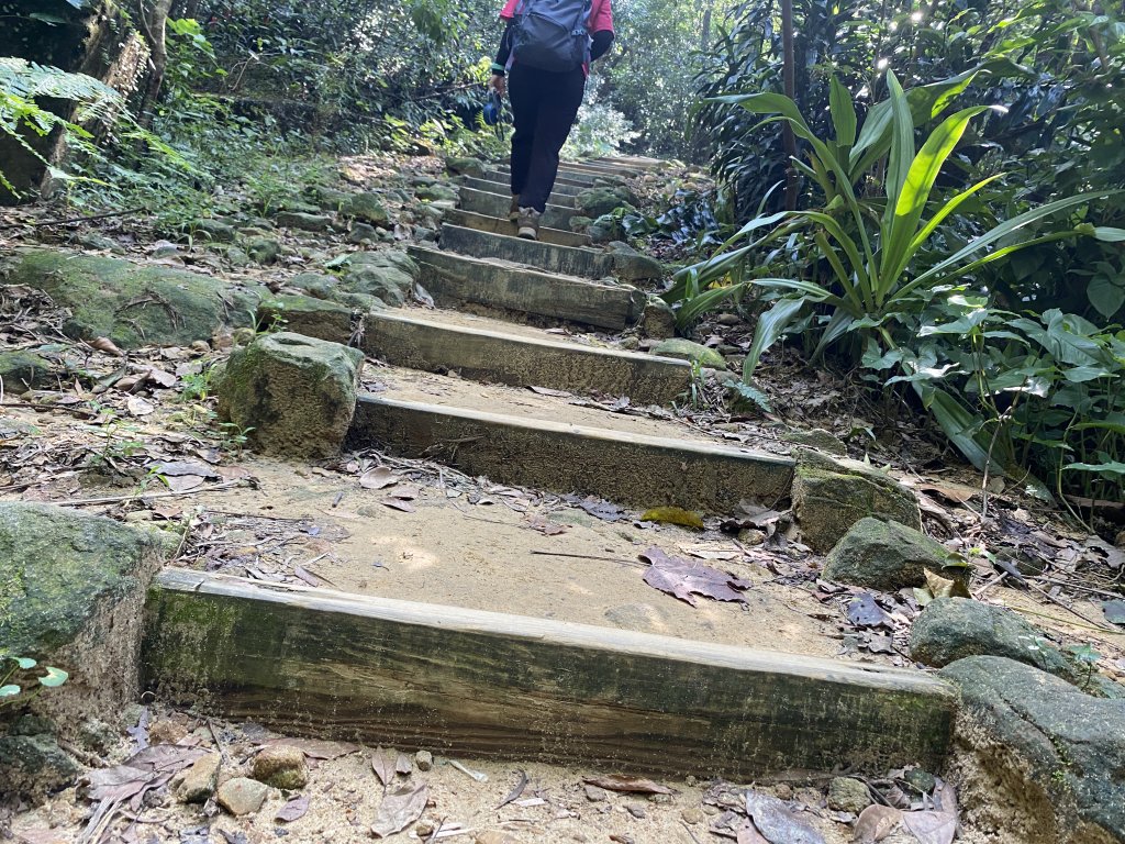 2021.09.20 金面山_1541331