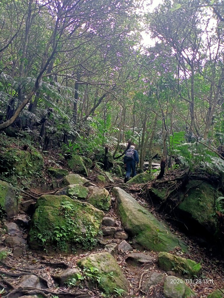 【臺北大縱走4】風櫃嘴→雙溪溝古道→五指山古道→大崙頭山北面步道→許願步道→圓覺寺步道→大溝溪→大湖_2469088