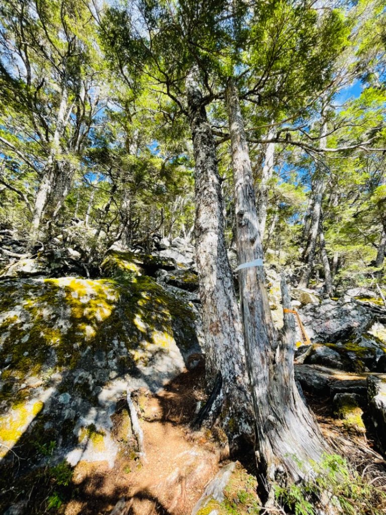 南橫公路溪頭山_1963668