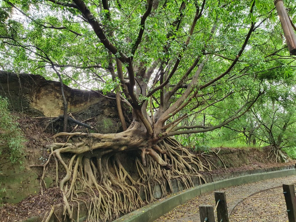 知高圳步道_1064537