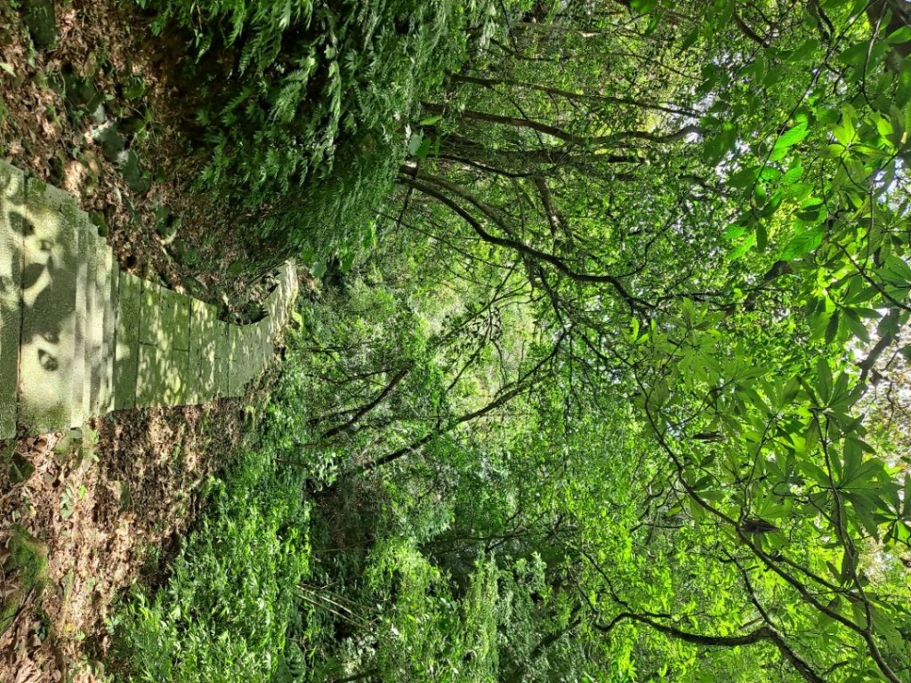 20230911淡蘭古道中段：五分山步道-暖東舊道_2446771