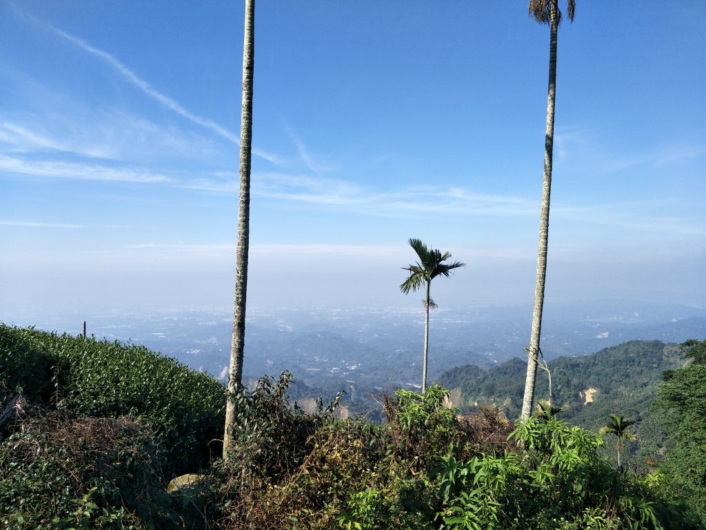 2018 11 22 挑筍古道(大尖山、後棟仔山步道)_463950