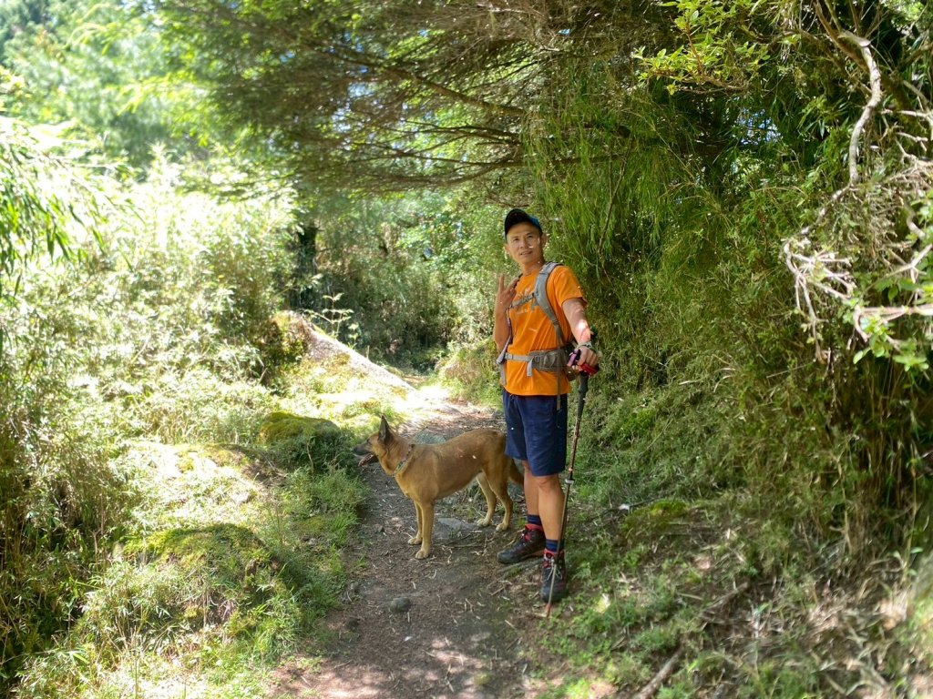 東埔山+東埔大草原步道【這裡的夏天冷颼颼】_2826514
