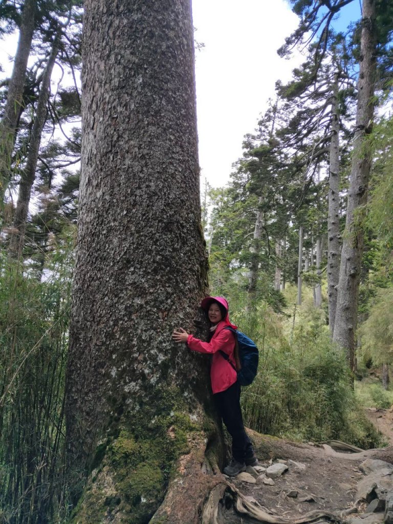 【忠の玉山單攻】~台灣地表最高的石頭~20200614_1742714