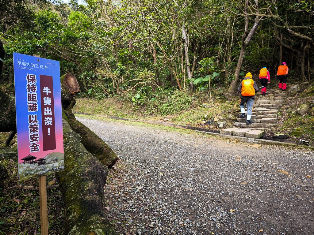 2025-01-19 大里天公廟~埡口_2695378