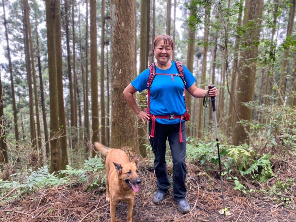 鵝公髻山（小百岳）鵝公髻山東北峰_2449840