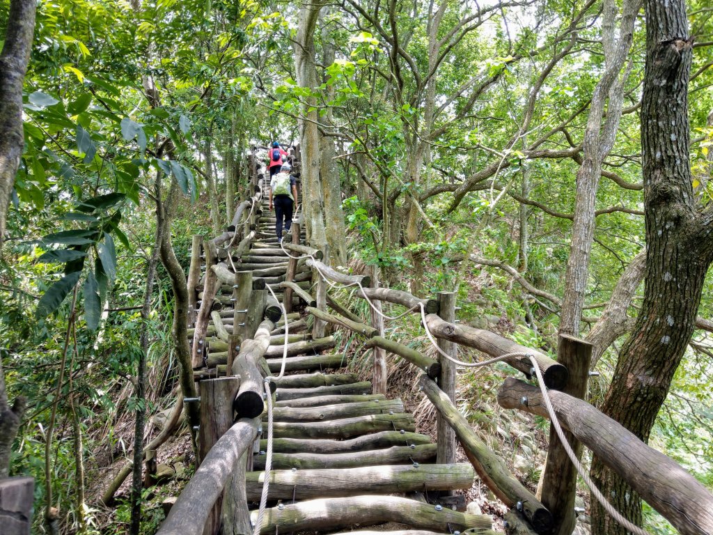 頭嵙山(小百岳#41)大坑4,5,1步道_1003675