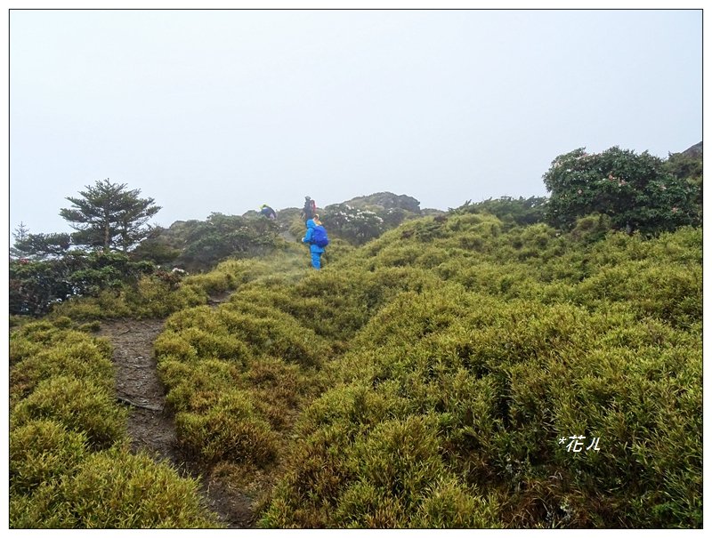 合歡石門山步道_907885