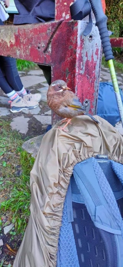 2021/9/8 玉前出大景_2001562