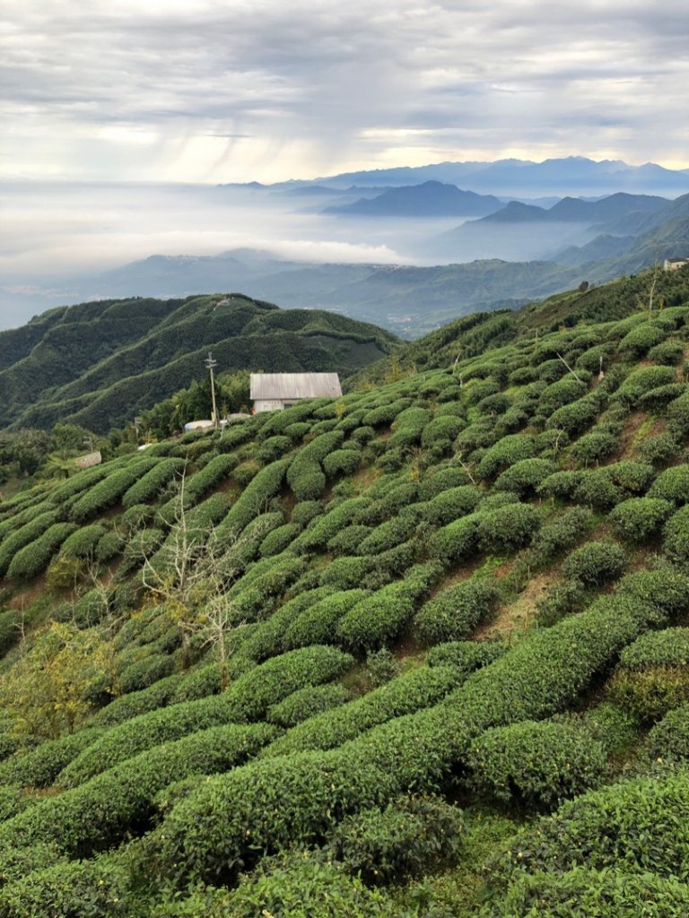 貓空望山、嶺頭山、金柑樹山（小百岳）、忘憂森林_1897090