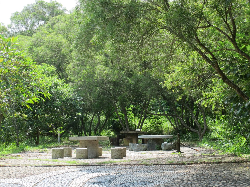 2019-07-25 竹坑-南寮登山步道_635992