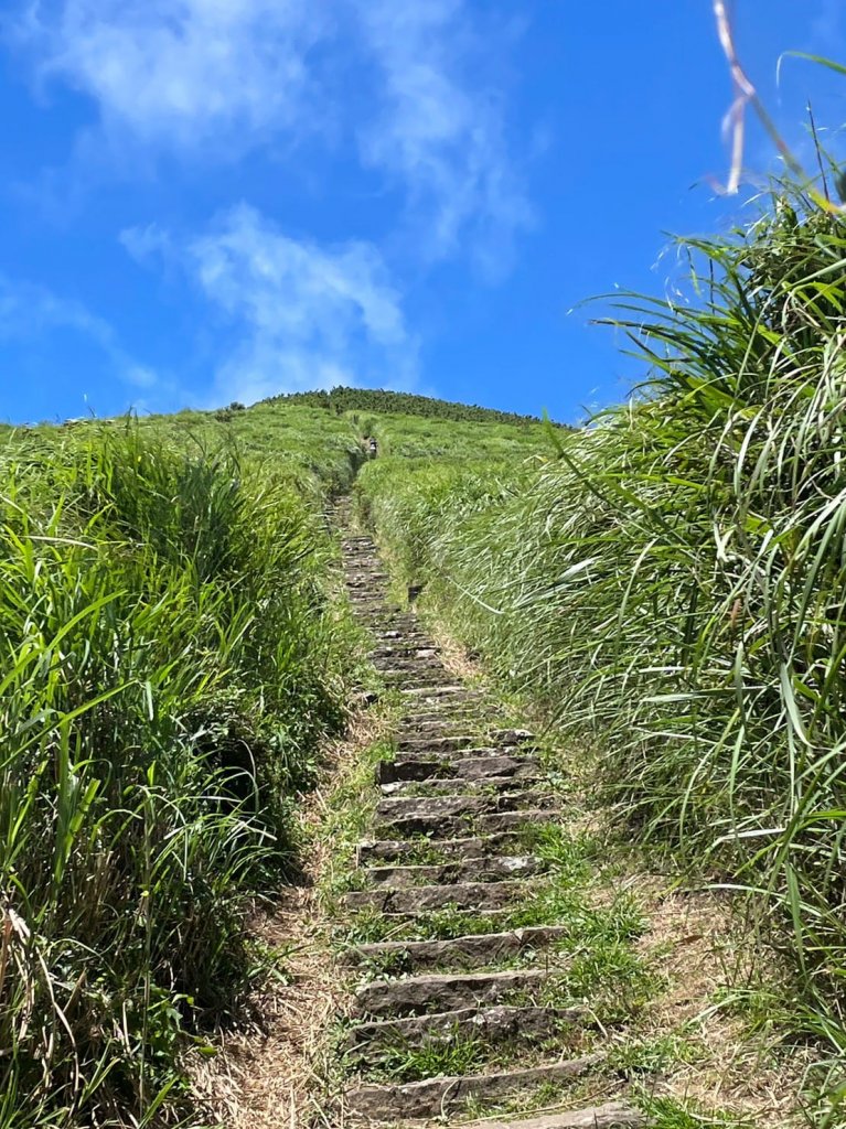 230716-小百岳#001大屯山。美美兔感謝「泰利」外圍環流，許了大屯主峰一個艷陽颱風天，景緻絕美_2222795