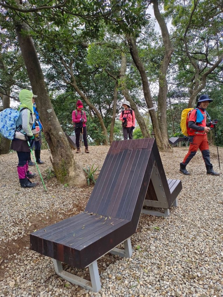 鳳鳴-龜山-鶯歌六連峰縱走/樹林大凍山-鶯歌蛋石山-鶯歌陶瓷博物館_2978537