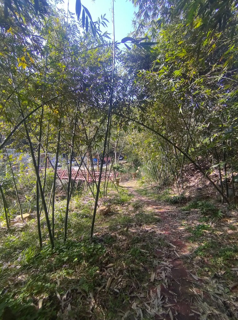 林口老公崎-新林步道O形_1978980