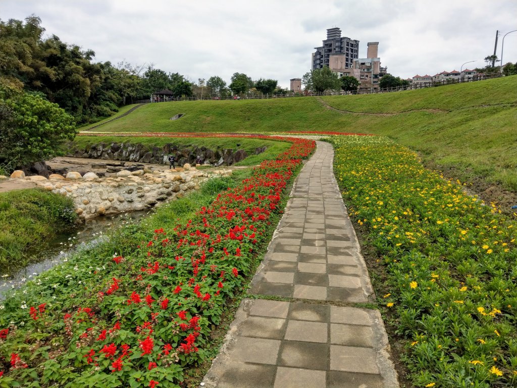 大溝溪步道--鯉魚山步道_817359