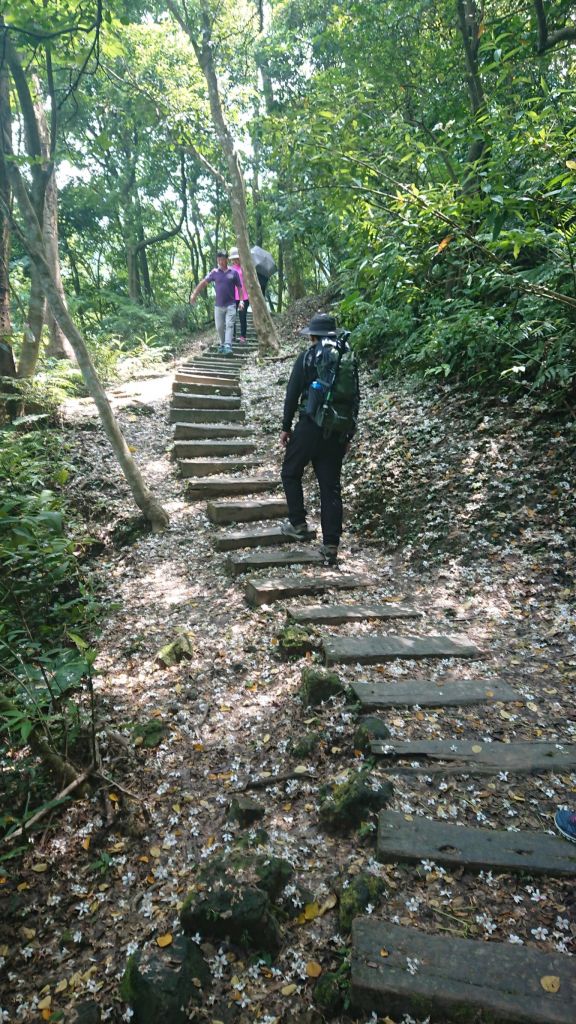 1070429火焰山縱走大暖尖山封面圖