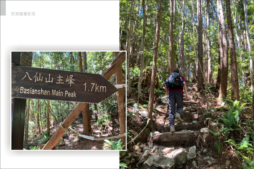 【谷關七雄】八仙山主峰步道_2894870