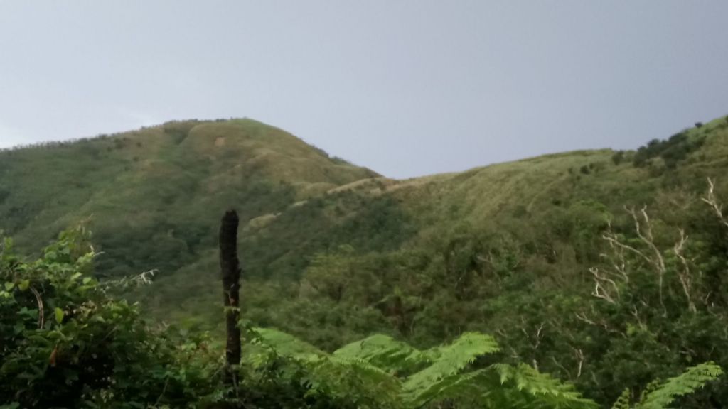 聖母山莊三角崙山小百嶽_404057