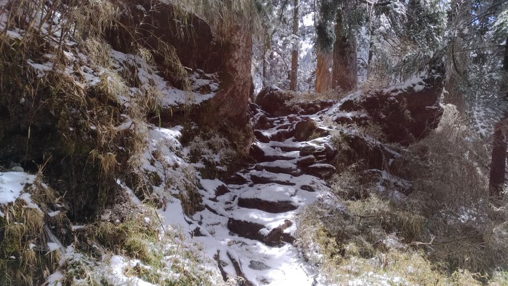 20180309玉山大雪登頂殘念_284153