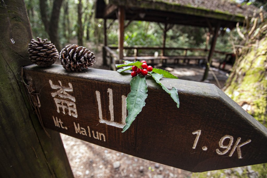 2023.03.11 馬崙山小O、新山遺址(馬崙山步道支線去、斯可巴步道返)_2072731