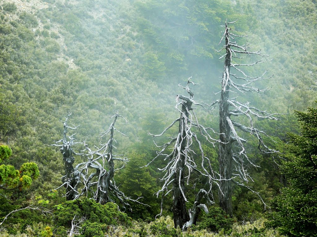 南湖首登封面圖