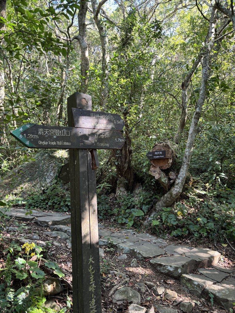 面天山、向天山、向天池_2921028
