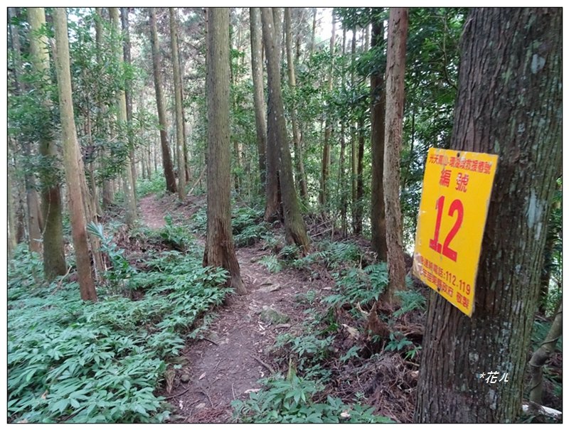 光天高山、向天湖山、三角湖山連走_1588186